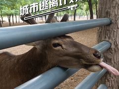 -崆山白云洞