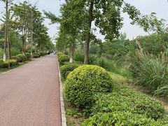 -白鹭湾湿地公园