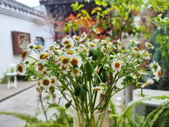 -知亘茶食