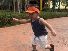 -美的鹭湖森林度假区