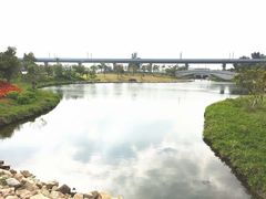 -宝安西湾红树林湿地公园