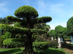 -石炮台公园