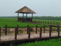 -西青郊野公园