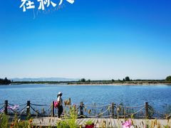 -野鸭湖国家湿地公园