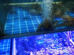 -海韵之星邮轮水会(明发商业广场店)