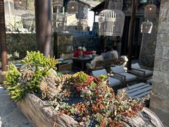 -MOJ coffee(瓯海泽雅水碓坑店)