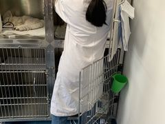 -北京赛佳动物医院