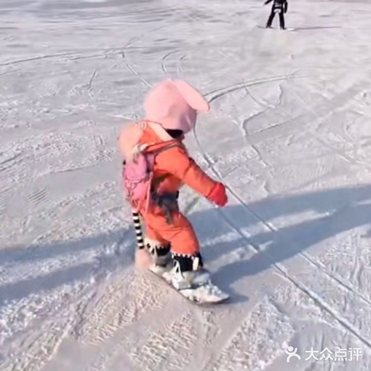 小小年纪,能力非凡,点赞滑雪少年