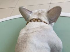 -怪兽屋·羊驼·猫咖·狗咖(俊华广场店)