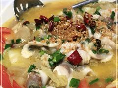 -港升鱼师傅·中山脆肉鲩