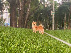 -瑞鹏宠物医院·骨科·猫科·内科(第一中心)