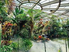-昆明植物园