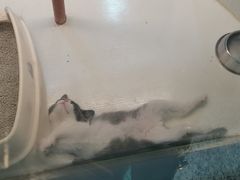 -乐宠宠物店(世纪金源店)