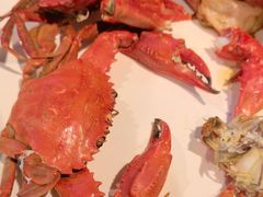 -赶海部落海鲜城(海阳路店)