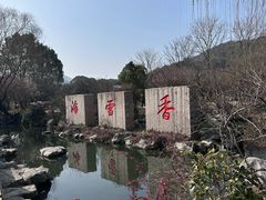 -香雪海