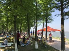 -瑶湖郊野森林公园