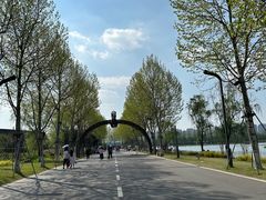 -洋湖国家湿地公园