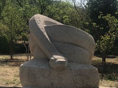 -北京十三陵国家森林公园蟒山景区