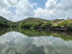 -白马涧龙池景区