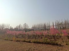 -瀛海足球主题公园