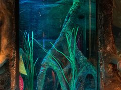 -沈阳海洋探索中心