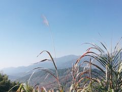 -塔川景区