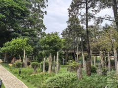 -东莞植物园