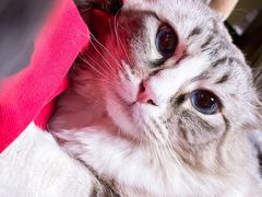 -白兔子密室(长寿路店)