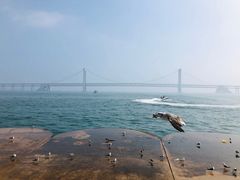 景点-星海湾跨海大桥