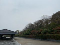 -巢湖姥山岛