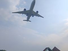 -空港花田景区