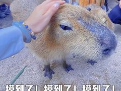 -北京野生动物园