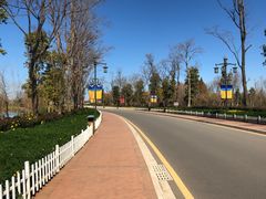 -呈贡滇池生态湿地公园