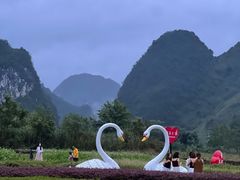 -靖西鹅泉风景区