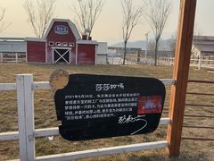 -君乐宝优致牧场
