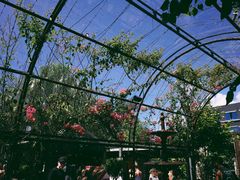 -The Grounds of Alexandria