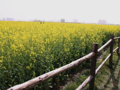 -汉长安城未央宫国家考古遗址公园