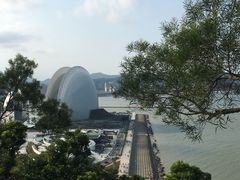 -野狸岛