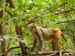 -山西通天峡景区