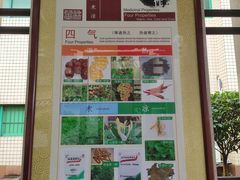 -广州神农草堂中医药博物馆