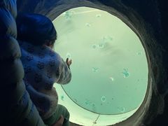 -常州海昌海洋探索馆