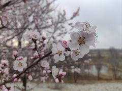 -绿堤公园