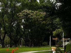 -人民公园(罗湖区)