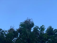 -乌山风景区