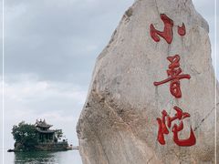 -小普陀