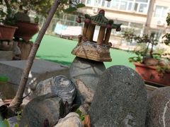 -茶大椰·椰子茶(星悦荟店)