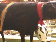 -杭州国际会议中心洲际酒店-原素全日餐厅(解放东路店)