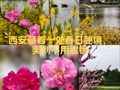 -洨河生态公园