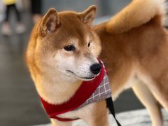 -URBAN REVIVO(深圳华润万象天地店)