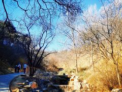 -北京西山国家森林公园